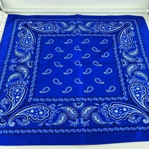 Blue Bandana NWT